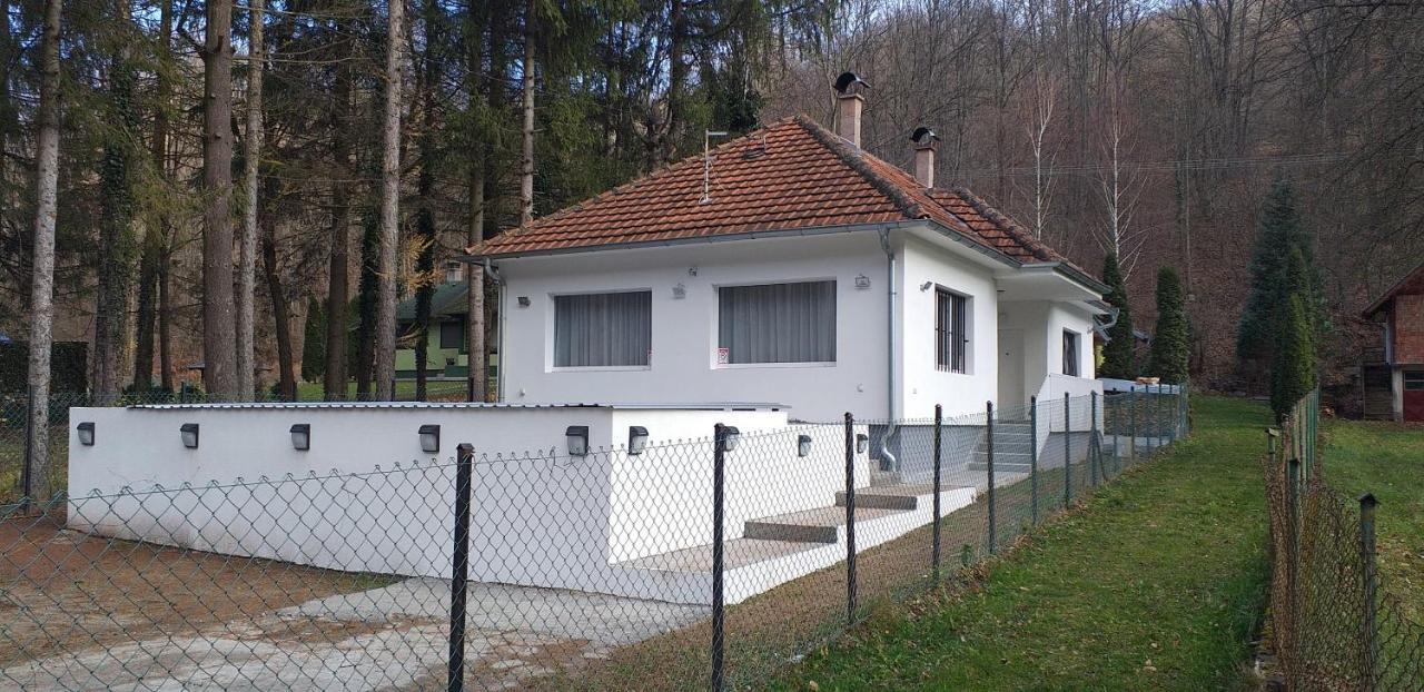 Apartmani Grza Paraćin Eksteriør bilde
